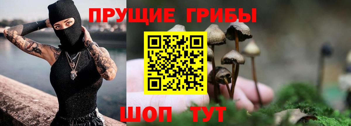 Минеральные Воды  Галлюциногенные грибы Cubensis  Вход с VPN 